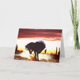 Sollen wir tanzen - Horse Grußkarte Dankeskarte