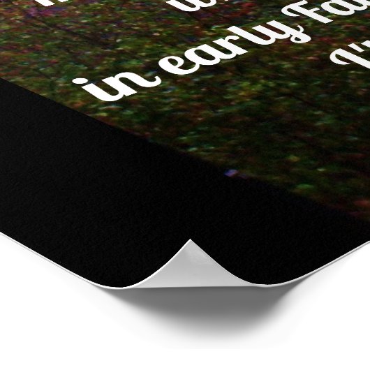 SOLLTEN SIE DAS ERSTE Poster GEHEN? (Ecke)