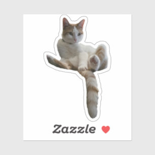 Sollten Sie das vielleicht abdecken? Katze Aufkleber