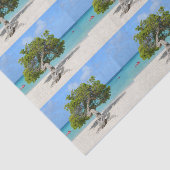 Solo- Divi Divi Baum in Aruba Seidenpapier (Ausschnitt)