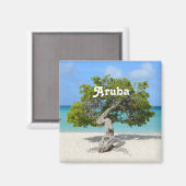 Solo Divi Tree in Aruba Magnet (Vorderseite/Rückseite)