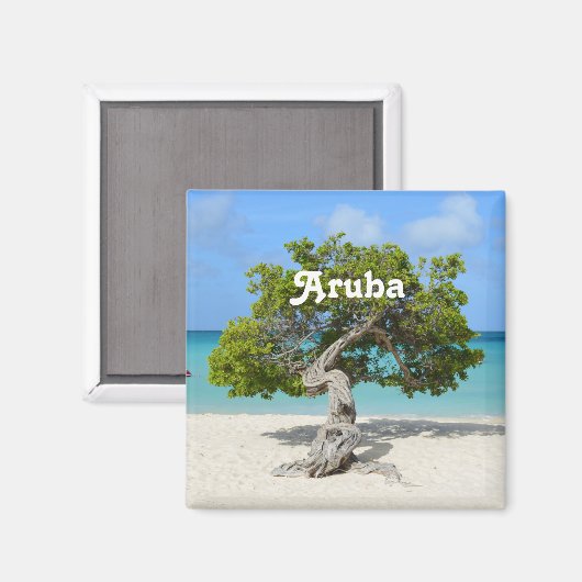 Solo Divi Tree in Aruba Magnet (Vorderseite/Rückseite)