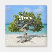 Solo Divi Tree in Aruba Magnet (Vorne)