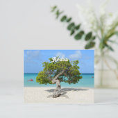 Solo Divi Tree in Aruba Postkarte (Stehend Vorderseite)
