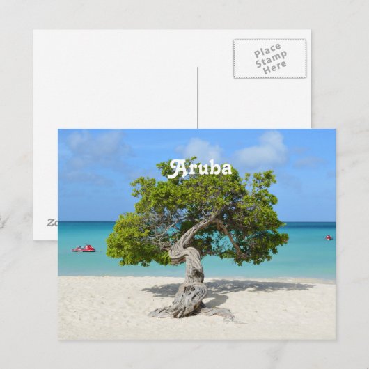 Solo Divi Tree in Aruba Postkarte (Vorne/Hinten)