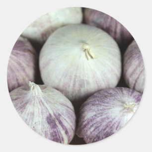 Solo- Knoblauch Runder Aufkleber