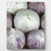 Solo Knolic Fotoplatte (Vorderseite)