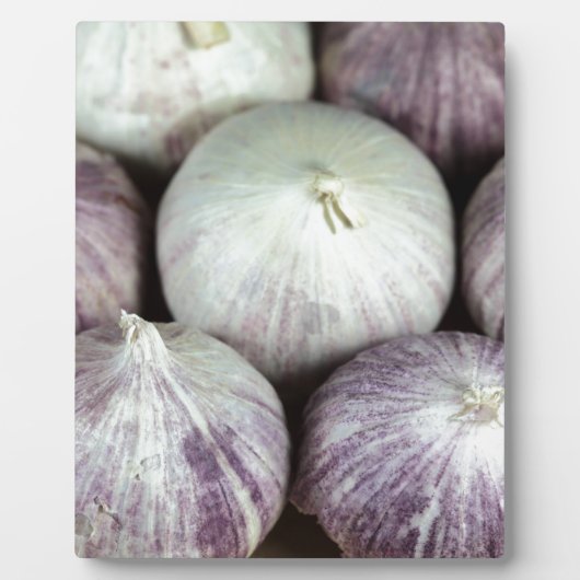 Solo Knolic Fotoplatte (Vorderseite)