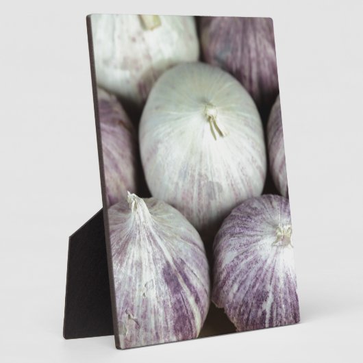 Solo Knolic Fotoplatte (Seite)