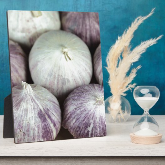 Solo Knolic Fotoplatte (Seite)