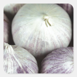 Solo Knolic Quadratischer Aufkleber