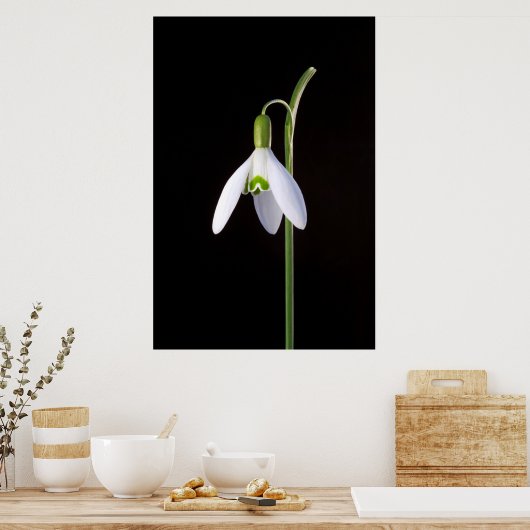 Solo Perfection Poster (Küche)