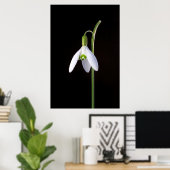 Solo Perfection Poster (Heimbüro)