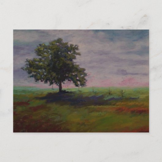 Solo Postkarte (Vorderseite)