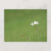 Solo Postkarte (Vorderseite)