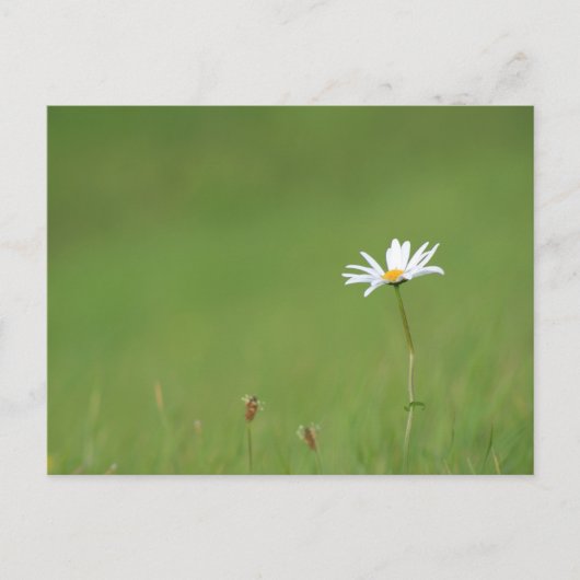 Solo Postkarte (Vorderseite)