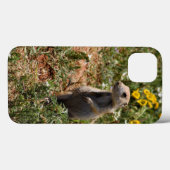 Solo Prairie Dog IPhone Fälle Case-Mate iPhone Hülle (Rückseite (Horizontal))