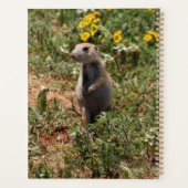 Solo Prairie Dog Planer (Rückseite)