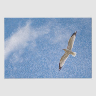 Solo Seagull im Himmel Seidenpapier