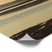 Solo Tree auf Cape Cod Beach Picture Poster (Ecke)