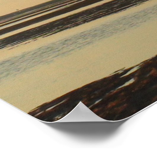 Solo Tree auf Cape Cod Beach Picture Poster (Ecke)