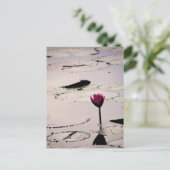 Solo-tus | Kambodscha Postkarte (Stehend Vorderseite)