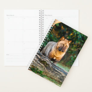 Solo Wolf Planner Planer