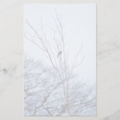 Soloist Briefpapier (Vorderseite)