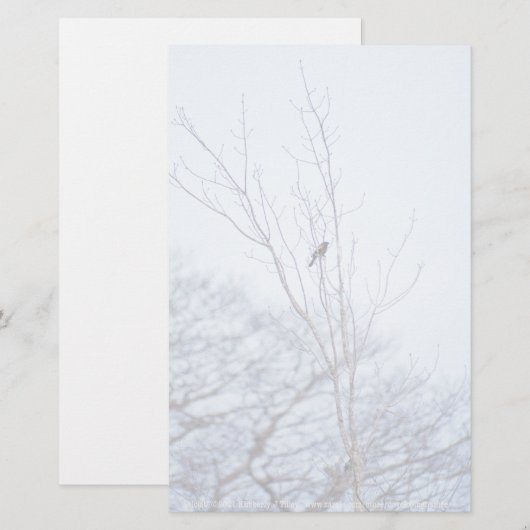 Soloist Briefpapier (Vorne/Hinten)
