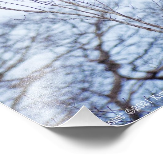 Soloist Fotodruck (Ecke)