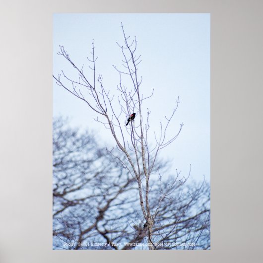 Soloist Poster (Vorne)
