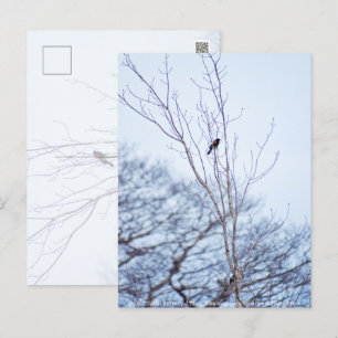 Soloist Postkarte
