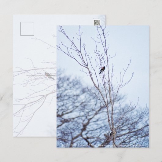 Soloist Postkarte (Vorne/Hinten)