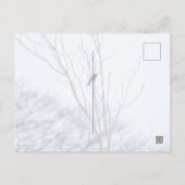 Soloist Postkarte (Rückseite)