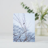 Soloist Postkarte (Stehend Vorderseite)