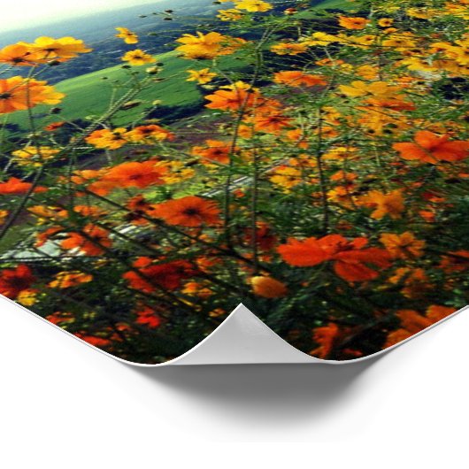 Solomon-Lied 2:10-12, Bibelverse, Blume Poster (Ecke)