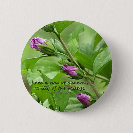 Solomon-Lied 2:1 Button (Vorderseite)