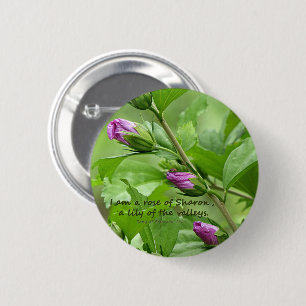 Solomon-Lied 2:1 Button