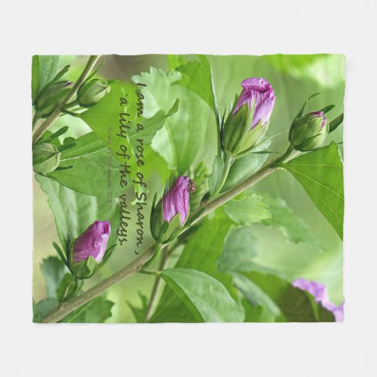 Solomon-Lied 2:1 Fleecedecke (Vorderseite (Horizontal))