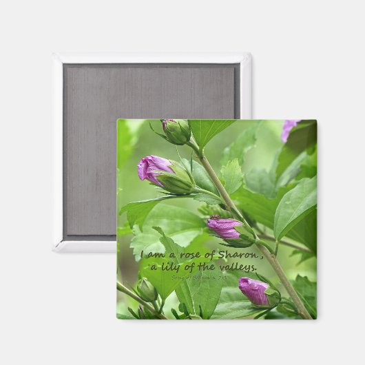 Solomon-Lied 2:1 Magnet (Vorderseite/Rückseite)