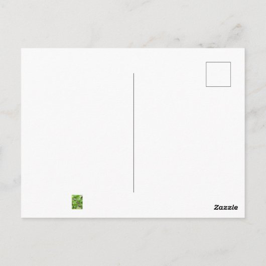 Solomon-Lied 2:1 Postkarte (Rückseite)