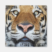 Solomon Magnet (Vorne)