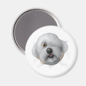 Solomon Magnet (Vorderseite/Rückseite)