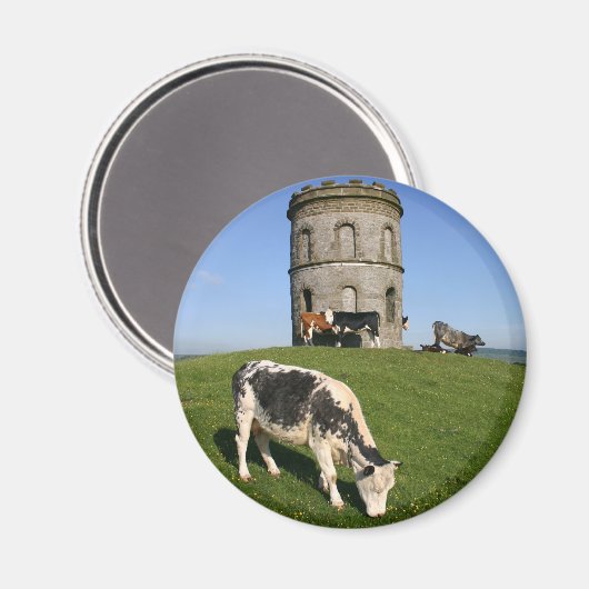 Solomon-Tempel-Kühlschrankmagnet Magnet (Vorderseite/Rückseite)