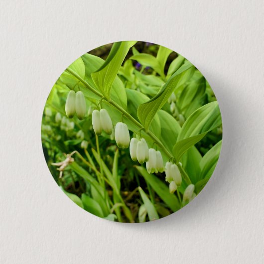 Solomons Siegel Abzeichen Button (Vorderseite)