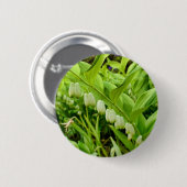 Solomons Siegel Abzeichen Button (Vorne & Hinten)