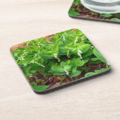 Solomons-Siegel Getränkeuntersetzer (Linke Seite)