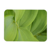 Solomons-Siegel Magnet (Horizontal)