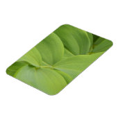 Solomons-Siegel Magnet (Linke Seite)