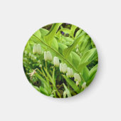 Solomons Siegel Magnet (Vorne)